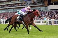 Little Bridge King's Stand Stakes - Photo HKJC